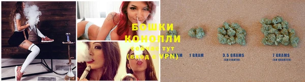 шишки Армянск