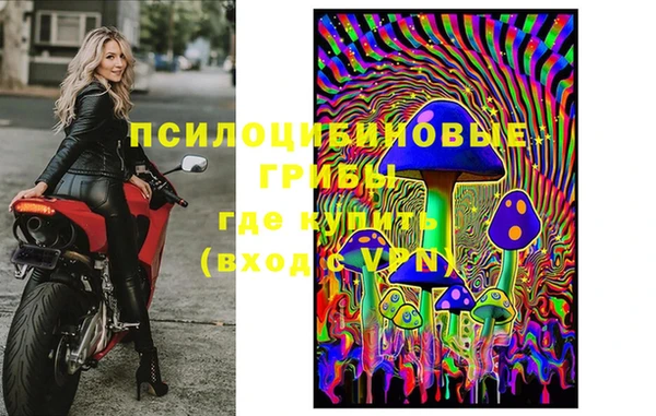 шишки Армянск