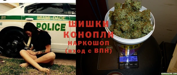 шишки Армянск